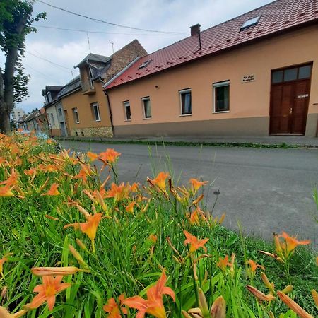 Kis Rigo Vendeghaz Hotel Salgótarján Bagian luar foto