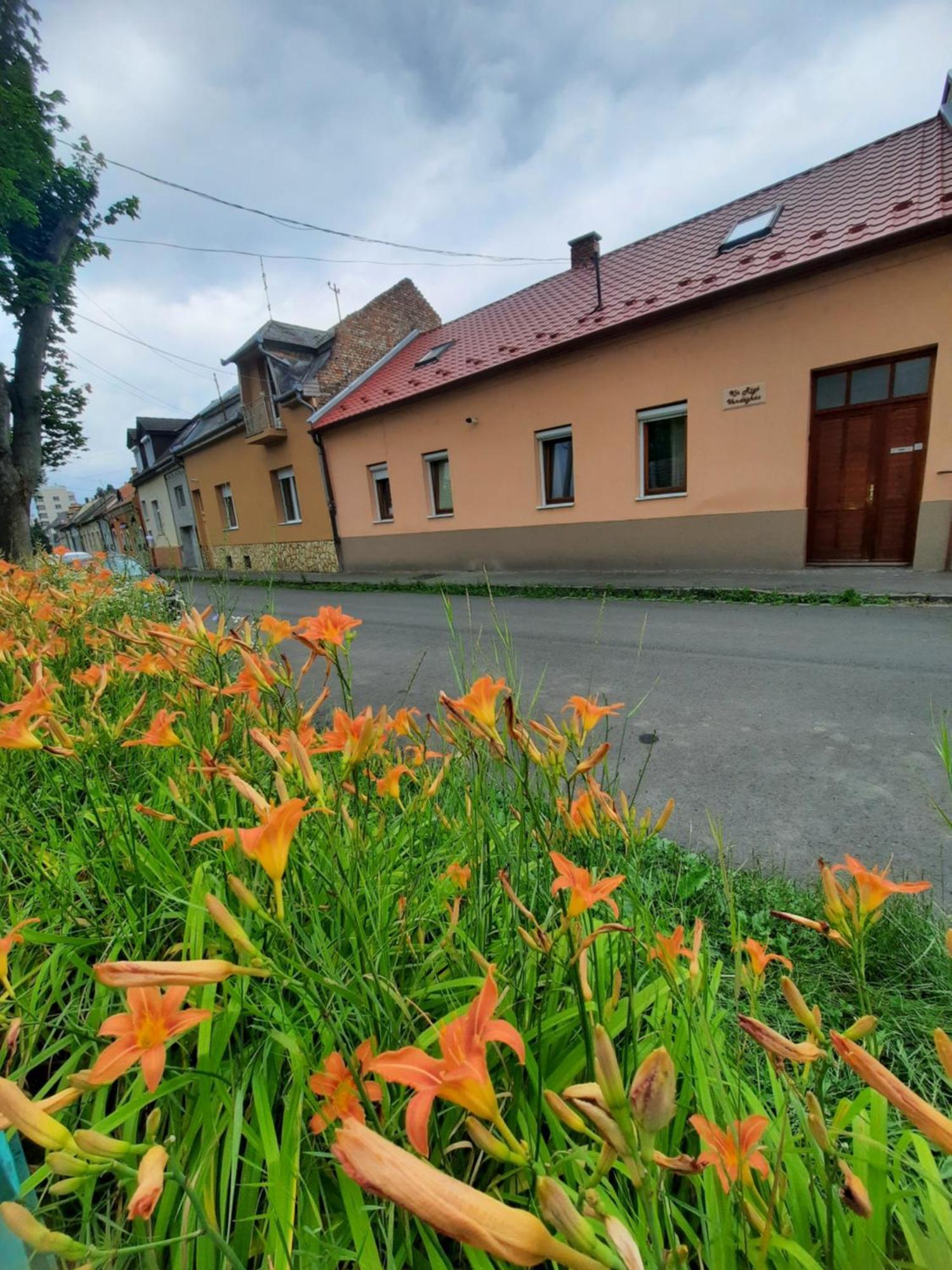 Kis Rigo Vendeghaz Hotel Salgótarján Bagian luar foto